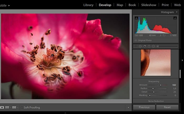 Herramienta de nitidez del software de edición de fotos Adobe Lightroom