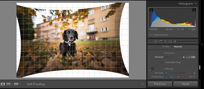 Una captura de pantalla de la edición de fotos con la herramienta de corrección de perspectiva de Adobe Lightroom