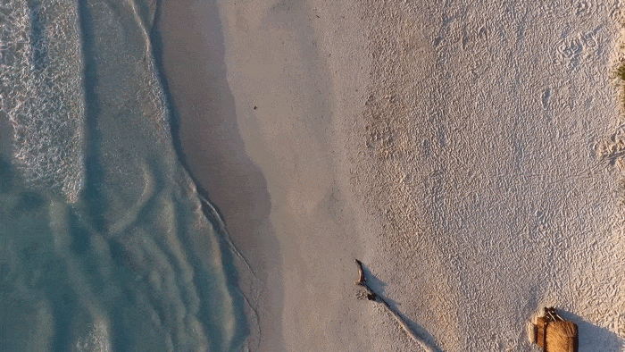 Cool cinemagraph de una persona caminando en una playa