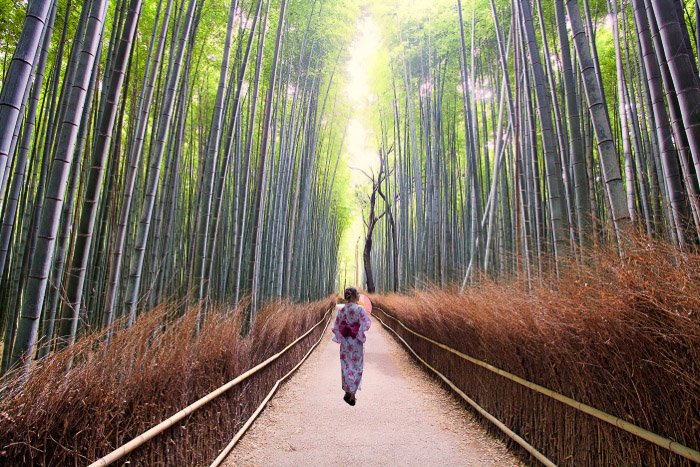 Una chica con traje tradicional japonés caminando por un bosque de bambú