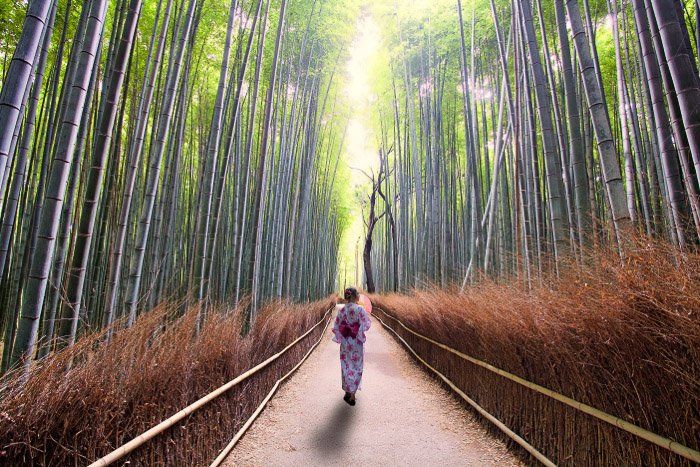 Una chica con vestido tradicional japonés caminando por un bosque de bambú,