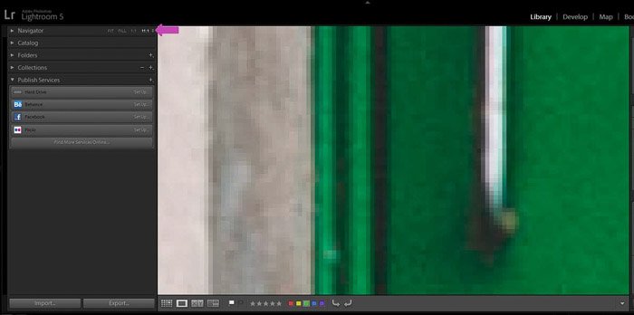 Captura de pantalla de una foto ampliada 11 veces con el zoom: cómo cambiar el tamaño de la imagen en Lightroom