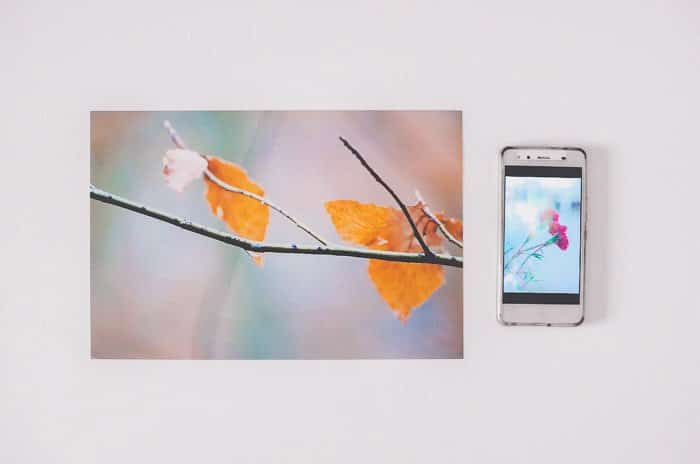 Una foto redimensionada de hojas de otoño junto a un teléfono inteligente