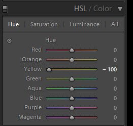 Una captura de pantalla que muestra cómo usar los controles deslizantes de color HSL en Lightroom