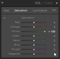 Una captura de pantalla que muestra cómo usar los controles deslizantes de color HSL en Lightroom