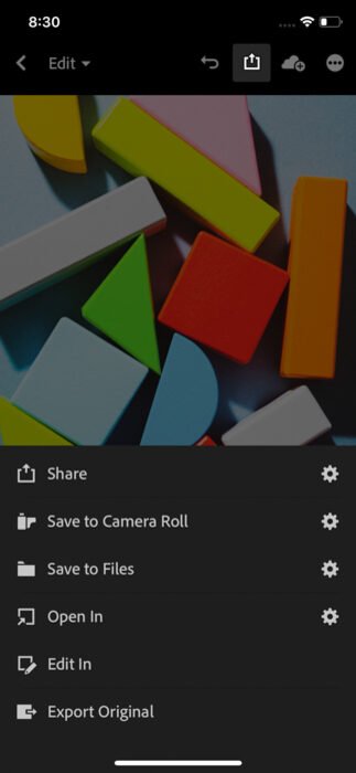 Una captura de pantalla que muestra cómo guardar, compartir o agregar fotos directamente desde la versión móvil de Lightroom