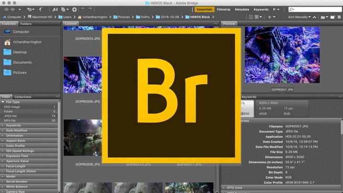 Captura de pantalla de la apertura de Adobe Bridge con el logotipo
