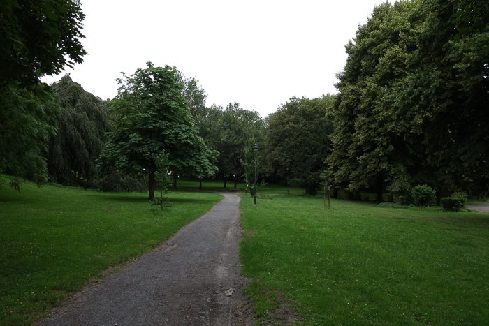 Un parque verde en un día nublado, adecuado para usar la regla nublado-5.6.