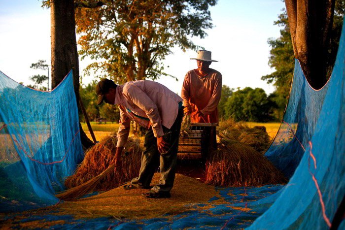 Fotografía de viaje de dos granjeros trabajando en Laos. 